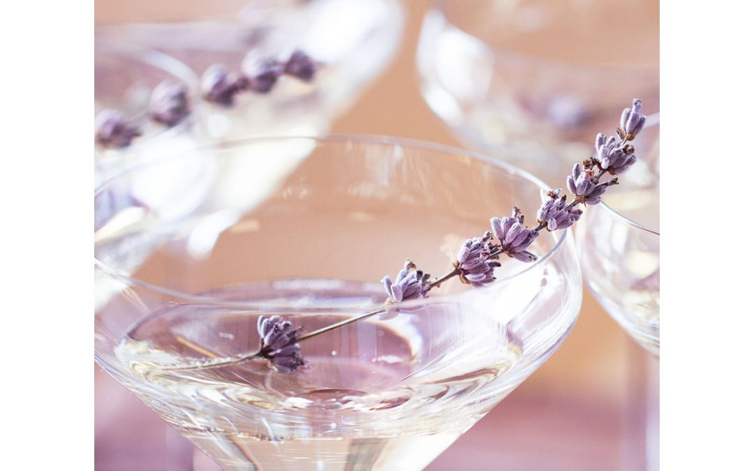 drinking champagne helps fighting dementia